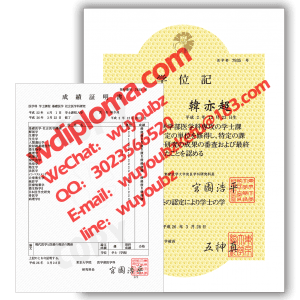 Diploma and transcript from Tokyo University